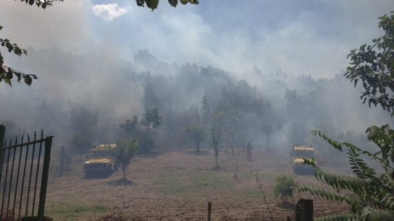 In fiamme la collina sparanisana in località Breccelle, Fusco: “Evento criminoso di gravità inaudita”