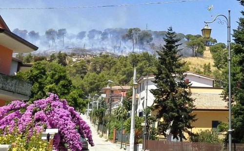 Altra mattinata di fuoco: domato l’icendio. Sorvillo:“Ringrazio tutti gli addetti, i volontari ed i cittadini”