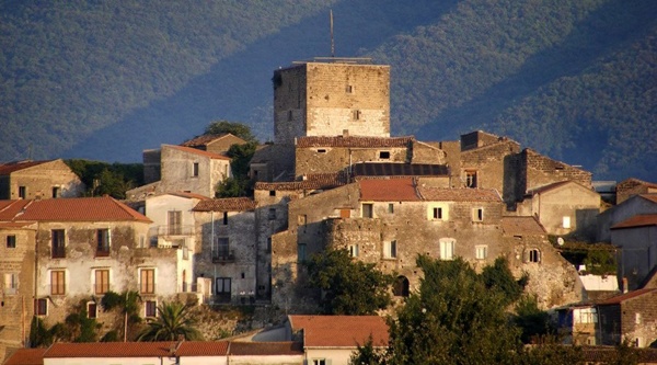 2013, un anno di iniziative sul territorio