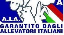 L’Associazione Regionale Allevatori mette in vetrina  le migliori razze allevate in Campania