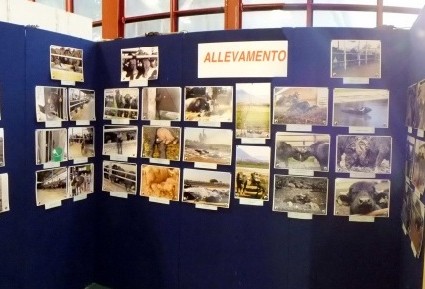 Fiera agricola 2014, l’associazione nazionale allevatori specie bufalina lancia il concorso fotografico “photobuba”