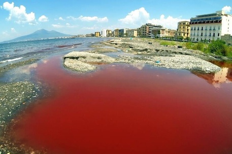 Una lunghissima chiazza rosso sangue sul lungomare di Castellammare di Stabia: è emergenza ambientale?