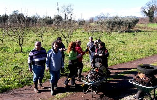 Riprende il lavoro dei volontari della rete ArcheoCales per ripulire il sito archeologico dell’Antica Cales