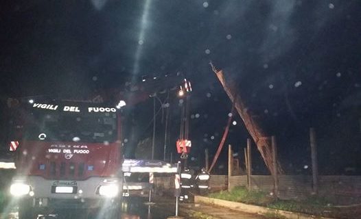 Maltempo: disagi nell’Agro caleno. A Pignataro e Pastorano vengono giù gli alberi