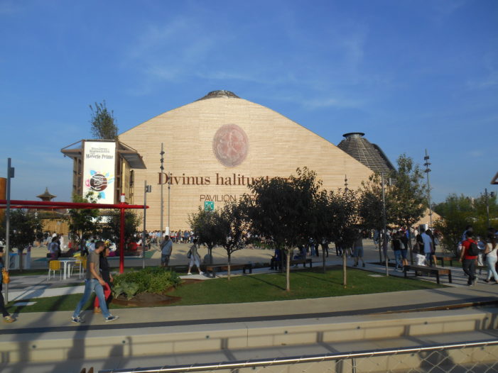 Expo Milano 2015: l’Esposizione Universale che non sfamerà mai il pianeta. Nel grande circo allestito a Rho pochi spunti e tanto divertimento (Guarda le foto di Expo Milano 2015 in esclusiva di www.caleno24ore.it)