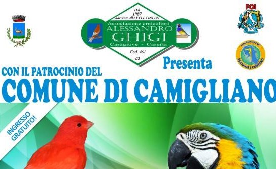 Anche quest’anno Camigliano ospita “Ornicolor”, la mostra ornitologica organizzata con il Foi