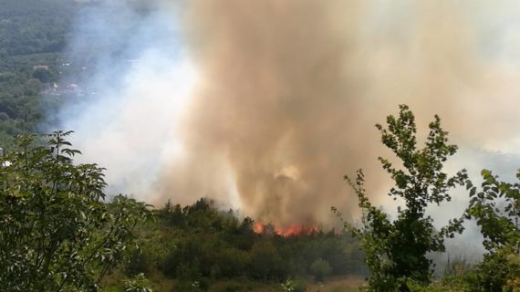 Ancora un incendio nell’Agro caleno: questa volta tocca a Giano Vetusto e Rocchetta