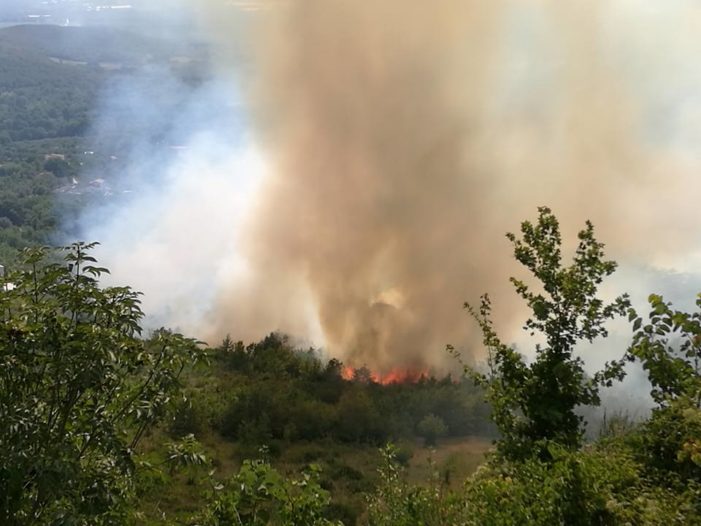 Ancora un incendio nell’Agro caleno: questa volta tocca a Giano Vetusto e Rocchetta