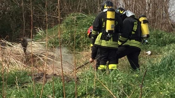 Ancora fumarole nell’area ex Pozzi: dopo essere stato anestetizzato dal carnevale, l’Agro caleno si risveglia sempre tra i veleni (guarda il video del giornalista Minieri). Sul posto sono intervenuti i vigili del fuoco