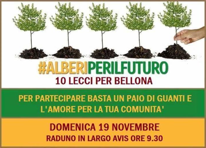 Alberi per il futuro: domenica 19 novembre alle 9.30 l’evento in largo Avis a Bellona