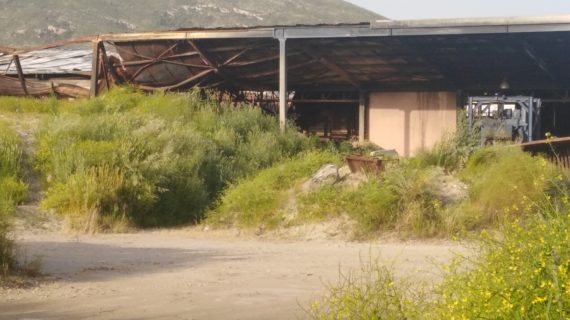 Abbandono e incuria nell’ex sito dell’Ilside, il Comitato cittadino chiede un intervento per prevenire nuovi incendi (guarda il video e le foto)