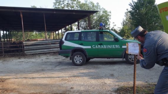 Liquami bufalini nel fiume Volturno, denunciato il titolare di un’azienda a Bellona