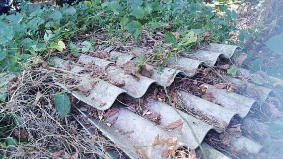 La riva del fiume Volturno trasformata in una discarica: la denuncia del comitato