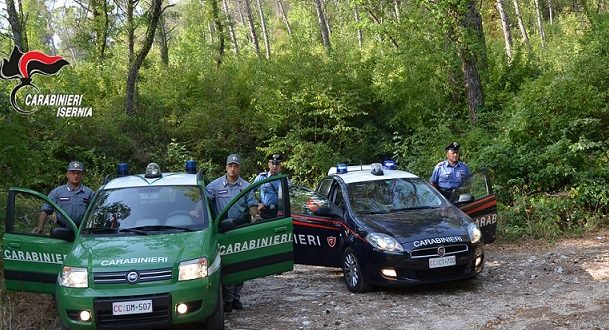 Sorpreso trasporto di un cinghiale oggetto di bracconaggio all’interno del parco regionale