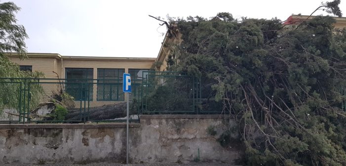 Allerta meteo, il Sindaco Russo ordina la chiusura delle scuole vitulatine per lunedì prossimo