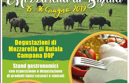 Pastorano, il 15 e il 16 giugno torna il Festival della Mozzarella di Bufala. Lo annuncia l’Amministrazione