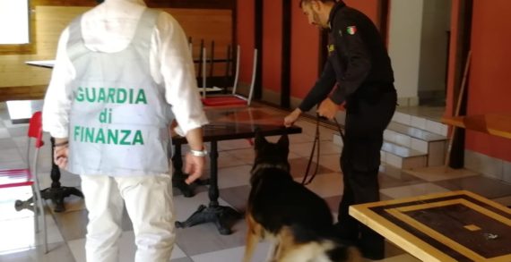 Rocchetta e Croce, arrestato spacciatore di cocaina e marijuana grazie all’unità cinofila