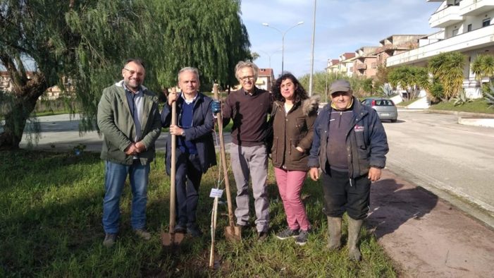 Festa degli Alberi, Cittadini 5 Stelle Bellona “costretta” dal sindaco a rivolgersi al Comune di Vitulazio