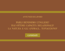 Annuncio di Lavoro