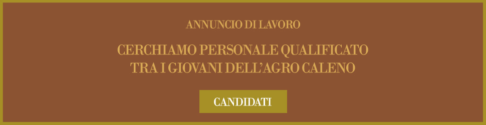 Banner_Annuncio di Lavoro Agro Caleno