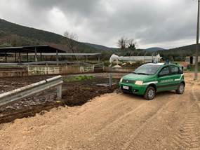 Sequestrata un’intera area nella quale erano stati sversati i rifiuti di una azienda zootecnica