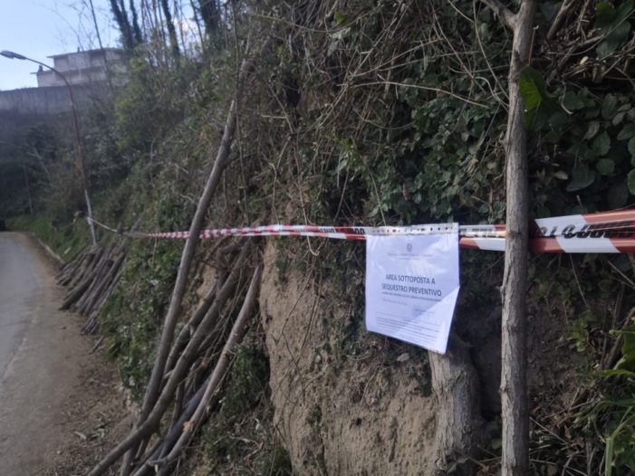 Sequestrata un’area boscata sulla quale insiste un bosco ceduo di Robinia pseudoacacia