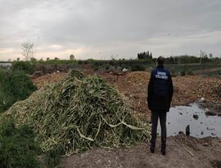 Sequestrato un autocarro e un’area agricola trasformata in sito per lo smaltimento illecito di rifiuti. Denunciata una persona