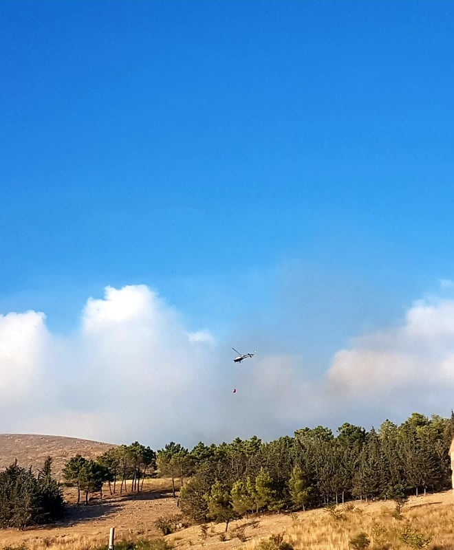 Pignataro Maggiore, vasto incendio sulle montagne alle spalle del comune caleno