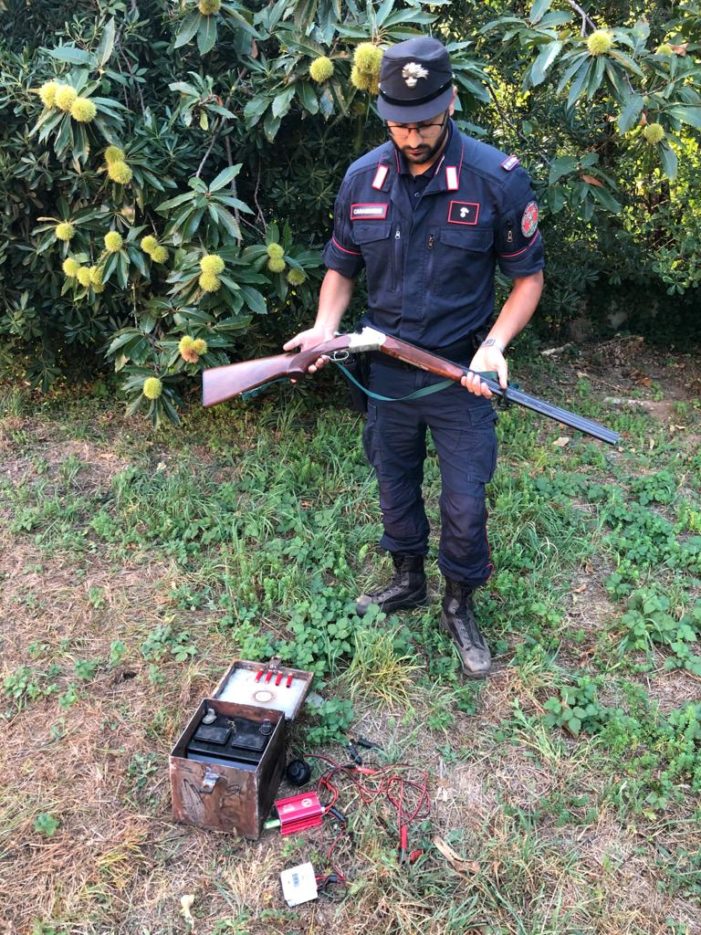 Denunciato bracconiere: era in azione, in periodo di divieto generale, all’interno del parco regionale di Roccamonfina, con l’ausilio di richiamo acustico vietato