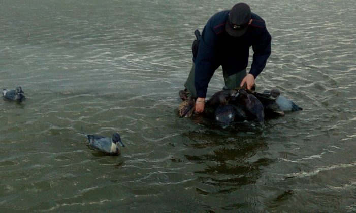 Bracconaggio, intervento dei carabinieri nei pressi dell’oasi naturale “Soglitelle”