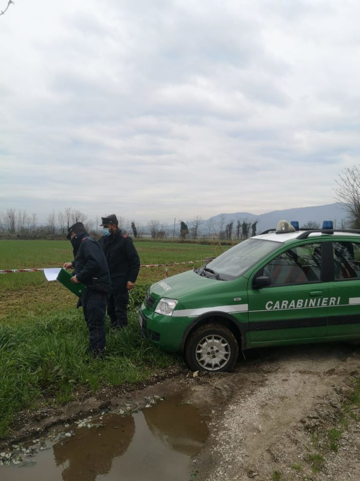 Sequestrata una vasta area per la presenza di liquami zootecnici non consentiti