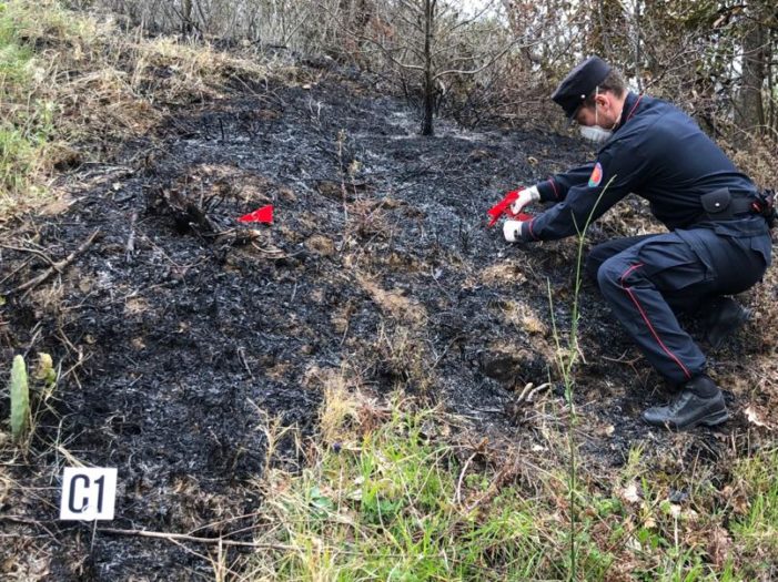 Camigliano, 25enne finisce agli arresti domiciliari perché accusato di aver appiccato quattro diversi incendi su 38 ettari di bosco